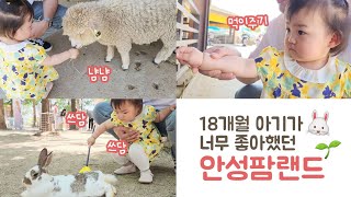 🐰 18개월 아기와 안성팜랜드  동물 먹이주기  서울 근교 아이와 가기 좋은 곳  육아vlog [upl. by Nnaycart280]