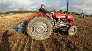 1957 Massey Ferguson 35 23 Litre 4Cyl Diesel Tractor 34HP with Ransomes Plough Newbury Ploughing [upl. by Andras]