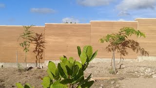 Rammed Earth Fence  Brazil architecture construction diy fence landscapedesign construção [upl. by Mitch355]