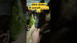 Janwar bolte hain romeothedog [upl. by Oswald460]