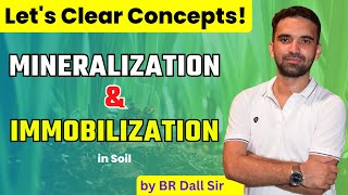 Mineralization and Immobilization  खनिजीकरण और स्थिरीकरण  Concept Clear [upl. by Ojyllek]