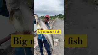 Big pathan wallago fish 🐠 fishing carpfishing shortsviral viralvideo trendingshorts [upl. by Emoreg]