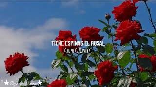 Tiene espinas el rosal  Grupo Cañaveral  Letra [upl. by Lairbag]