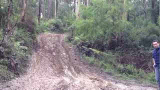 Nissan patrols GQ tb42 td42 rd28 turbo landcruiser 100 mud hill climb neerim south vic offroad [upl. by Ellehc]