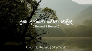 දුක දන්නෙ වෙන කවුද  slowed amp reverb  Duka Danne Wena Kauda  Roshan Fernando [upl. by Kampmeier]