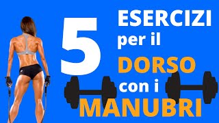 5 Esercizi SPACCADORSALI con i MANUBRI in 2 minuti [upl. by Durwood311]