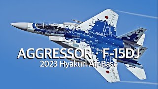 百里基地 2023教導訓練 アグレッサー F15DJ 新色機がベイパーを引きながら背中を見せてくれた JASDF F15DJ Aggressor [upl. by Adirf]