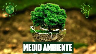 ¿QUÉ ES EL MEDIO AMBIENTE DEFINICIÓN RESUMEN Y CUIDADO [upl. by Ledarf]