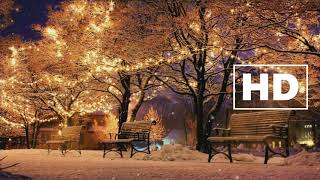 🎄Winter Christmas Tree Screensaver no sound Magical Christmas Lights in full HD  1 HOUR❄ [upl. by Ohs26]