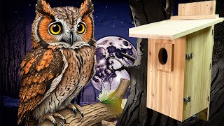 The Perfect Screech Owl Nest Box for the Piedmont Wildlife Center [upl. by Cacilie]