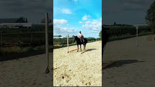 Paardrijden  Eerste keer Work equitation [upl. by Peugia]