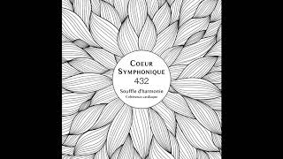 COHÉRENCE CARDIAQUE EN 46  RELAXATION  RESPIRATION  YEUX FERMÉS  432 Hz [upl. by Aneele]