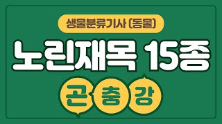 학습하기문강목과 생물분류기사 동물 곤충강 노린재목 15종 [upl. by Yllier]