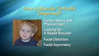 A new treatment for Muscular Torticollis [upl. by Einahpit957]