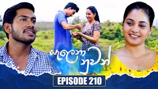 Salena Nuwan සැලෙනා නුවන්  Episode 210  07th December 2024 [upl. by Ardnossac]