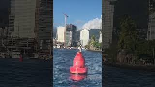 Sailing By Waikiki Surfers On Catamaran Snorkeling Tour ￼ [upl. by Ilhsa]