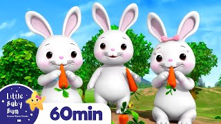 Bunnies Bunnies More Nursery Rhymes and Kids Songs  Little Baby Bum [upl. by Calandria495]