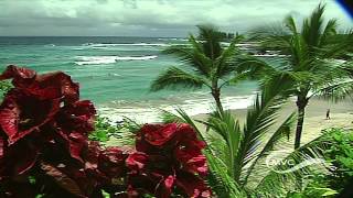 Top 10 Maui Beaches 5  1 [upl. by Yadnus]