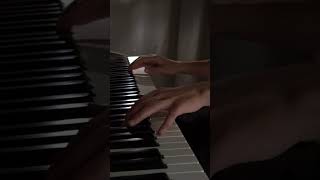 Paul de Senneville  Mariage dAmour Piano Cover [upl. by Malliw]