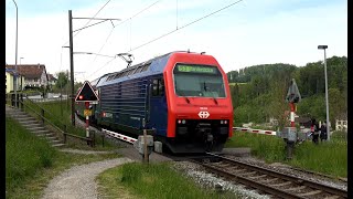 Railroad Crossing  IllnauEffretikonCH  Bahnübergang Oeliweg [upl. by Liana]