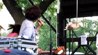 Neon Indian  Deadbeat Summer  Live at Pitchfork 2010 Music Festival [upl. by Nairbo663]