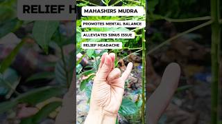 Mudra for migraine relief  Mahashirs Mudra [upl. by Auj]