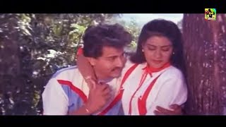 பாராமல் பார்த்த நெஞ்சம் HQ  Paaramal Paartha Nenjam Songs  Ilayaraja Hits  Mano amp Chithra Songs [upl. by Aicilec]