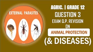 EXTERNAL PARASITES  ANIMAL PROTECTIN AND DISEASES  GRADE 12  AGRICULTURAL SCIENCES [upl. by Senior808]