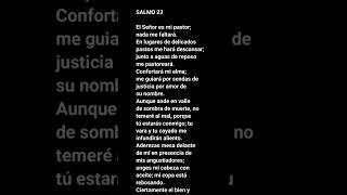 Salmo 23 Catolico Oracion Salmo 23 Alabanza Salmo 23 con letra Audio Salmo 23 [upl. by Roddie]