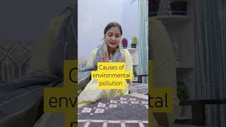 Causes of environmental pollution pollution environment class12economicsimportantquestions [upl. by Auqined]