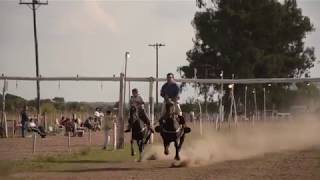 Carrera con sortijas en Zárate [upl. by Willner819]