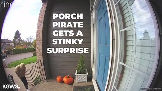 Portland porch pirate gets a stinky surprise [upl. by Pani771]