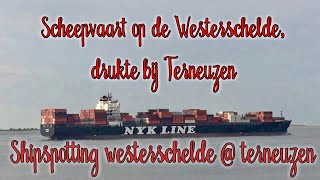 10092016  Scheepvaart op de Westerschelde  Drukte bij Terneuzen [upl. by Roanne]