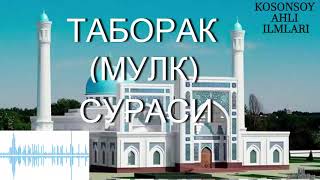 МУЛК СУРАСИ  MULK SURASI  TABORAK  ТАБОРАК [upl. by Aciraa]