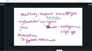 BRYOPHYTES GENERAL INTRODUCTION neet CLASS 11TH CBSE [upl. by Eenoj958]