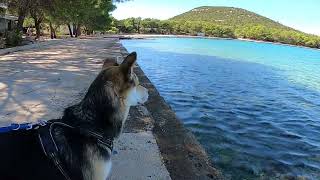 Autocamp Jazina Tisno  Dalmatien Kroatien  Camping mit Boot [upl. by Fisuoy477]