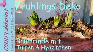 Baumrinde mit Tulpen und Nestchen natürliche Frühlings Deko für Balkon und Terrasse [upl. by Audwin]