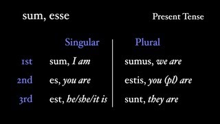 Irregular Verbs sum esse [upl. by Nahsaj]