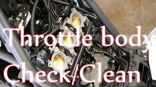 Tiger 800  Throttle body plate checkclean [upl. by Fawcett]