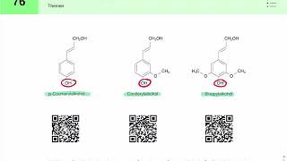 Lignin Aufbau und Biosynthese [upl. by Lief]