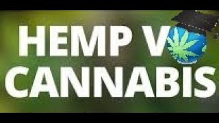 Hemp V Marijuana  Comparison amp Difference  Common Question Answered [upl. by Elok]