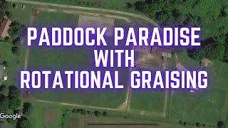 Paddock Paradise Horse Track Walk [upl. by Taite]