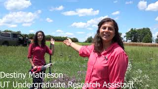 UT Plateau AgResearch Highlights Pollinator Health [upl. by Aerahs]