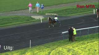 Waregem Draaft  28 september 2024  Minitrotters A  Prijs Voeders Lannoo [upl. by Asilrac]