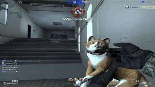 Special Force 2  Gameplay1  Cat Gun [upl. by Anaibaf430]