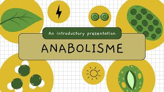 BIOLOGI Kelas 12 METABOLISME Anabolisme  Fotosintesis dan Kemosintesis [upl. by Iives]