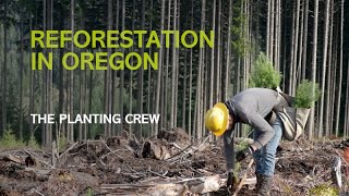 Reforestation in Oregon The Planting Crew [upl. by Eldwon]