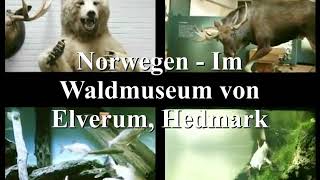 Norwegen  Im Waldmuseum von Elverum Hedmark [upl. by Nerrak454]