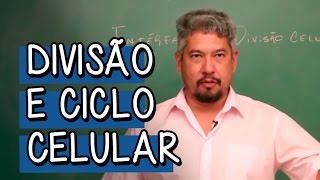 O que é Intérfase  Extensivo Biologia  Descomplica [upl. by Ariday]