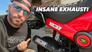 Honda Navi Vance amp Hines Exhaust installed and SOUND TEST [upl. by Jarrell]